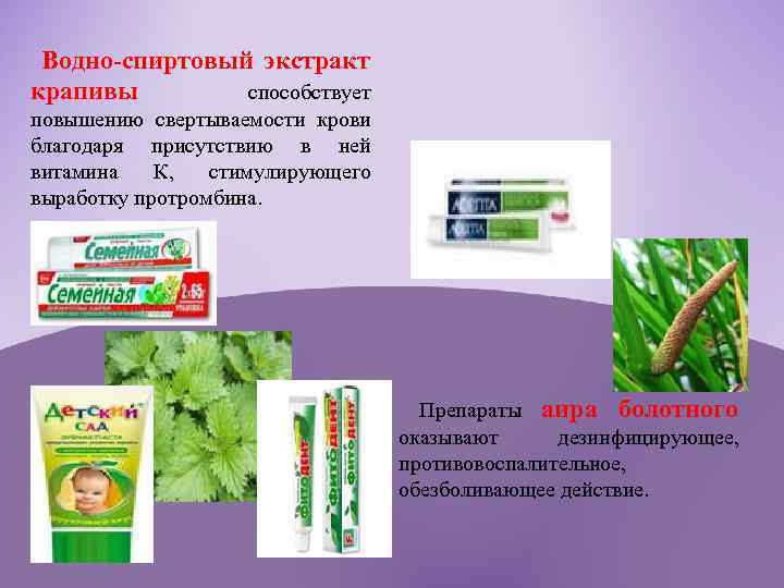 Водно-спиртовый экстракт крапивы способствует повышению свертываемости крови благодаря присутствию в ней витамина К, стимулирующего