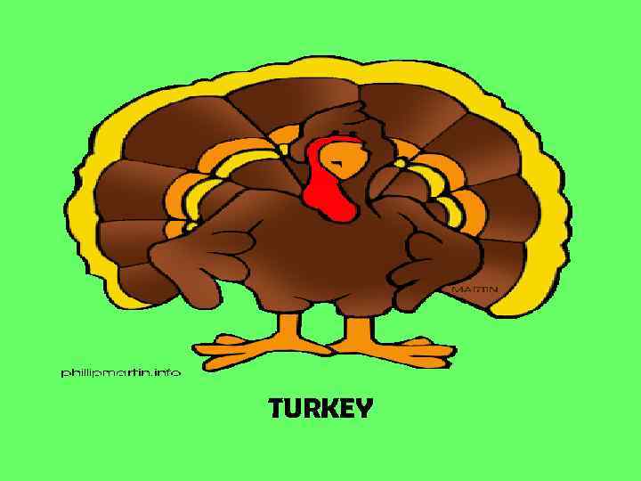 TURKEY 