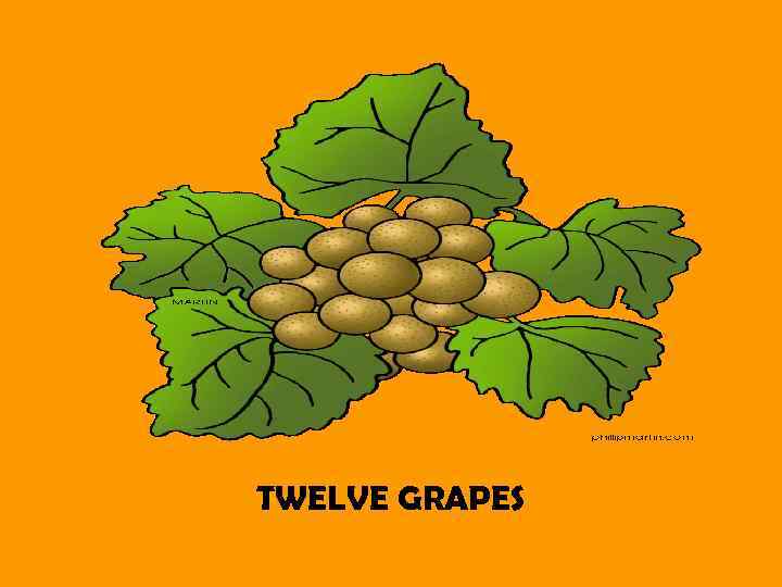 TWELVE GRAPES 