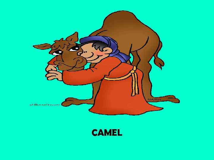 CAMEL 