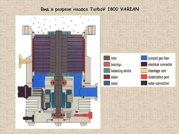 Вид в разрезе насоса Turbo. V 1800 VARIAN 