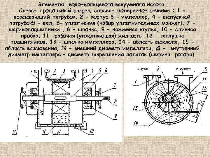 Элементы водо-кольцевого вакуумного насоса. Слева- продольный разрез, справа- поперечное сечение : 1 всасывающий патрубок,