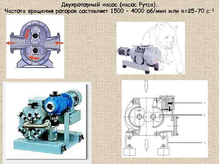 Двухроторный насос (насос Рутса). Частота вращения роторов составляет 1500 – 4000 об/мин или n=25