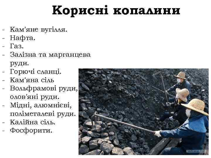 Корисні копалини - Кам'яне вугілля. Нафта. Газ. Залізна та марганцева руди. Горючі сланці. Кам'яна