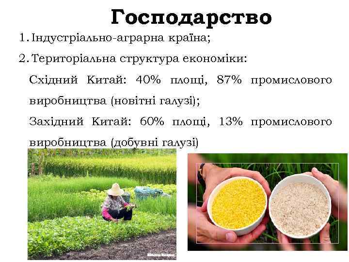 Господарство 1. Індустріально-аграрна країна; 2. Територіальна структура економіки: Східний Китай: 40% площі, 87% промислового