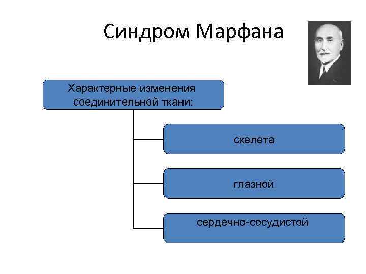 Синдром Марфана Характерные изменения соединительной ткани: скелета глазной сердечно-сосудистой 