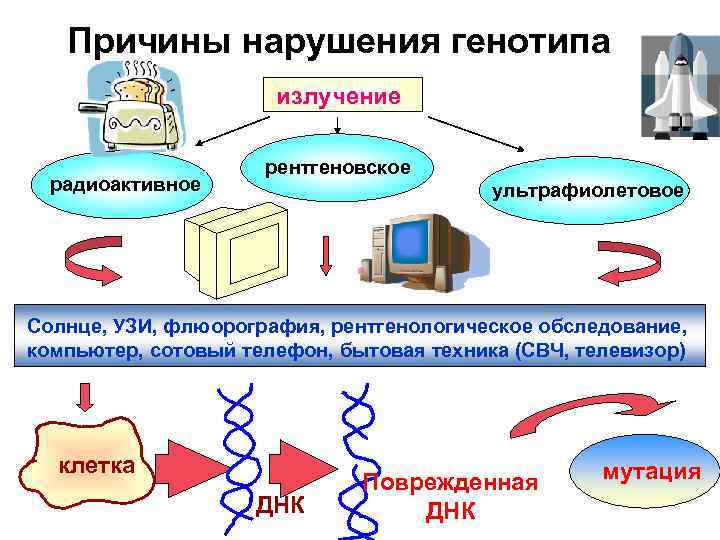Причины нарушения генотипа излучение радиоактивное рентгеновское ультрафиолетовое Солнце, УЗИ, флюорография, рентгенологическое обследование, компьютер, сотовый