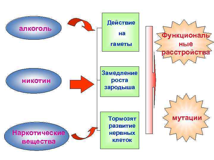  алкоголь Действие на гаметы никотин Наркотические вещества Функциональ ные расстройства Замедление роста зародыша