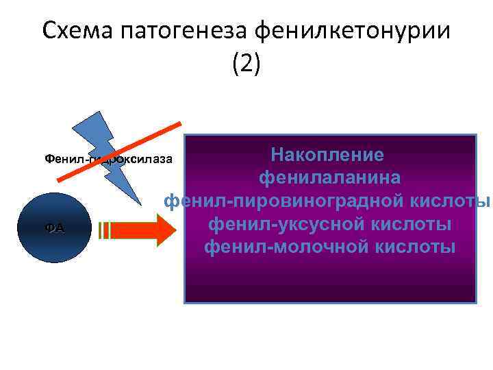 Схема патогенеза фенилкетонурии (2) Накопление фенилаланина фенил-пировиноградной кислоты фенил-уксусной кислоты фенил-молочной кислоты Фенил-гидроксилаза ФА