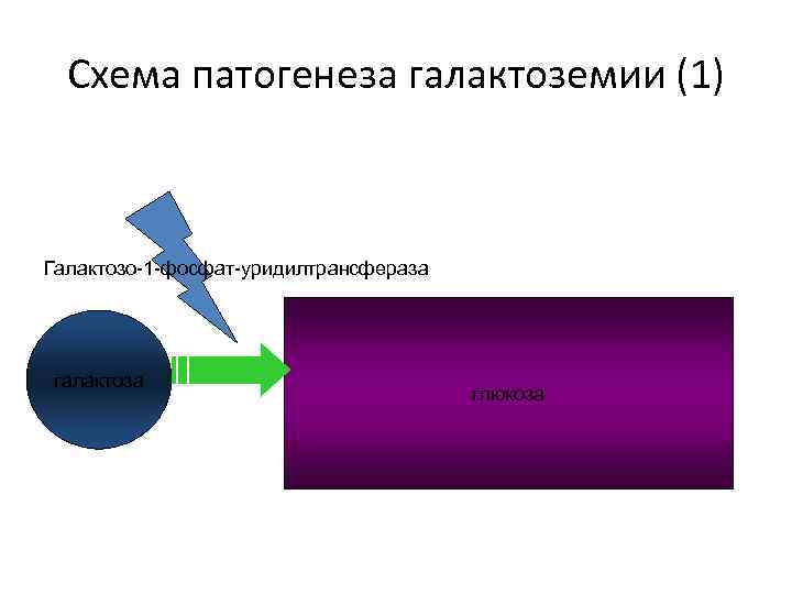Схема патогенеза галактоземии (1) Галактозо-1 -фосфат-уридилтрансфераза галактоза глюкоза 