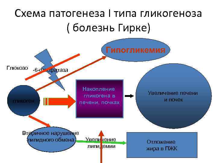 Схема патогенеза наследственных болезней обмена