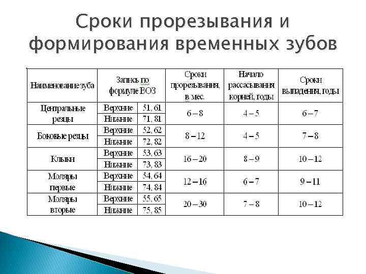 Сроки прорезывания и формирования временных зубов 