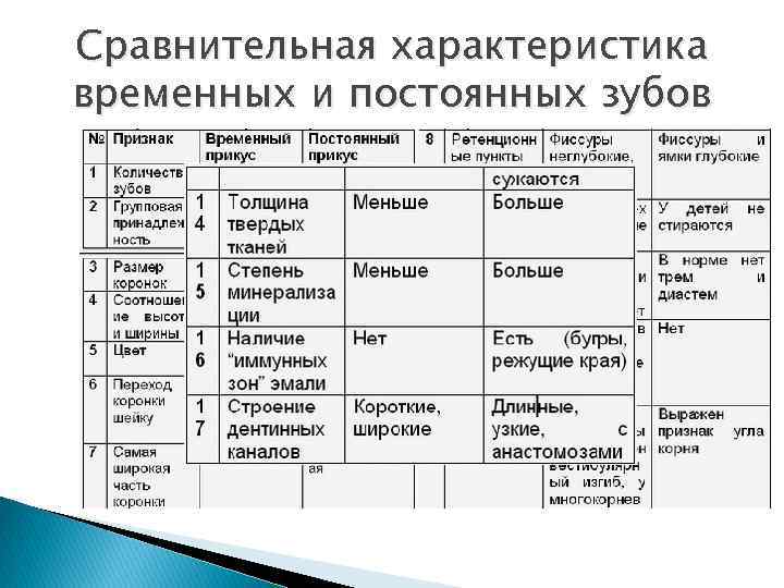 Сравнительная характеристика временных и постоянных зубов 