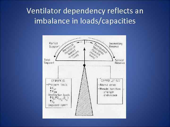 Ventilator dependency reflects an imbalance in loads/capacities 