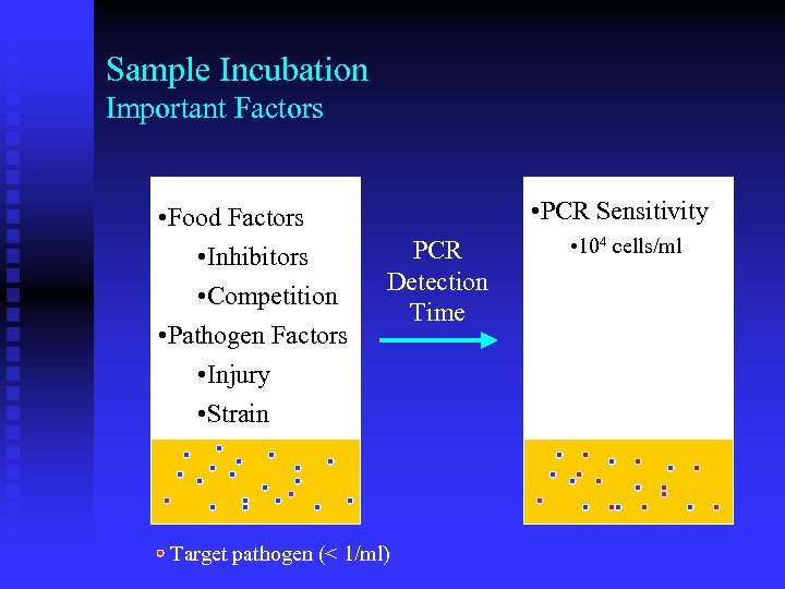 Sample Incubation Important Factors • Food Factors • Inhibitors • Competition • Pathogen Factors