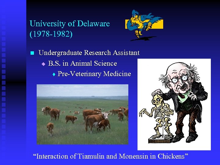 University of Delaware (1978 -1982) n Undergraduate Research Assistant u B. S. in Animal