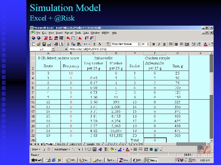 Simulation Model Excel + @Risk 