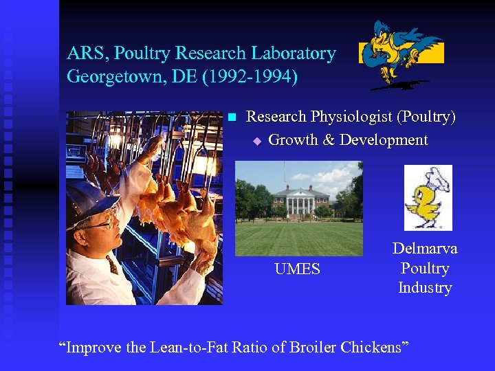ARS, Poultry Research Laboratory Georgetown, DE (1992 -1994) n Research Physiologist (Poultry) u Growth