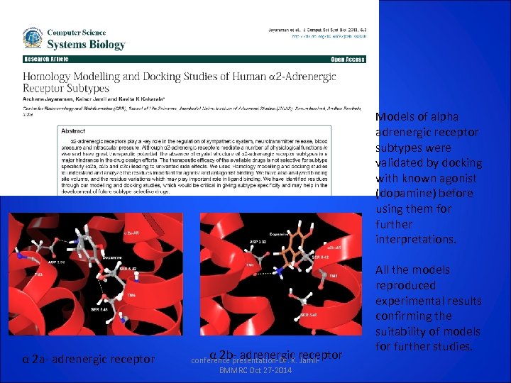 Models of alpha adrenergic receptor subtypes were validated by docking with known agonist (dopamine)