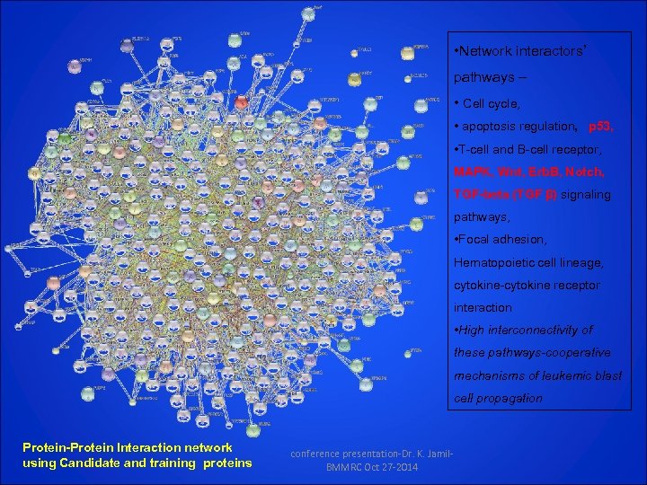  • Network interactors’ pathways – • Cell cycle, • apoptosis regulation, p 53,