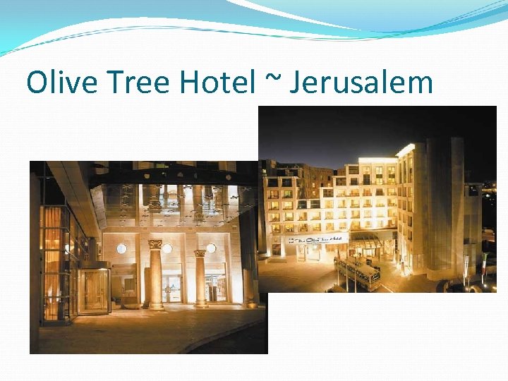 Olive Tree Hotel ~ Jerusalem 