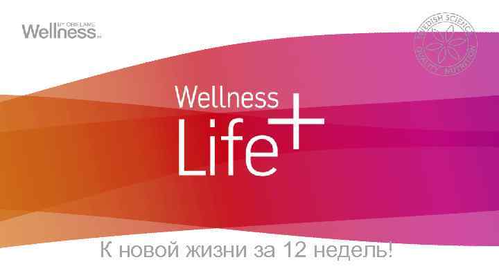 К новой жизни за 12 недель! 