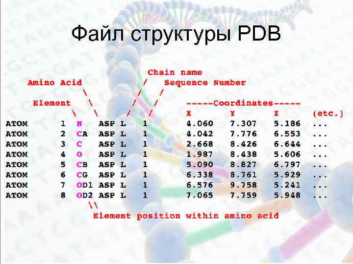 Файл структуры PDB 