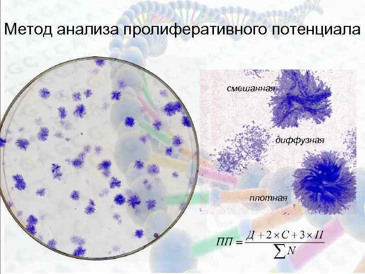 Метод анализа пролиферативного потенциала смешанная диффузная плотная 