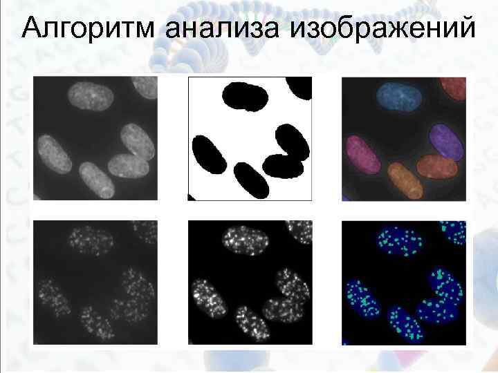 Алгоритм анализа изображений 