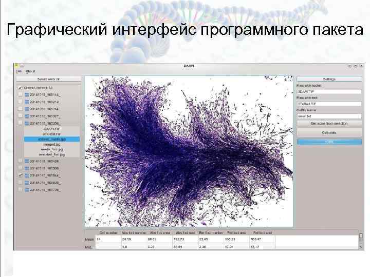 Графический интерфейс программного пакета 