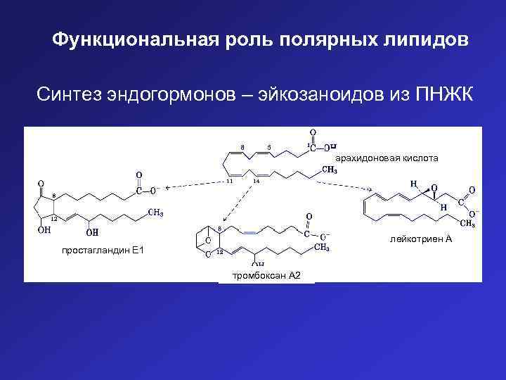 Функциональная роль. Арахидоновая кислота Синтез из. Простагландины классификация. Функции простагландинов биохимия. Простагландин е1.