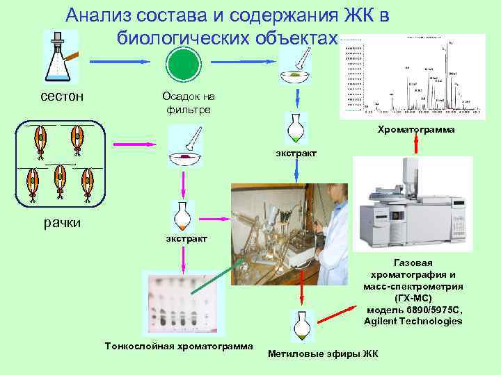 Газовая хроматография анализ. Хроматография экстракт. Хроматография в фармакологии. Хроматография биодизеля. Фильтры для газовой хроматографии.