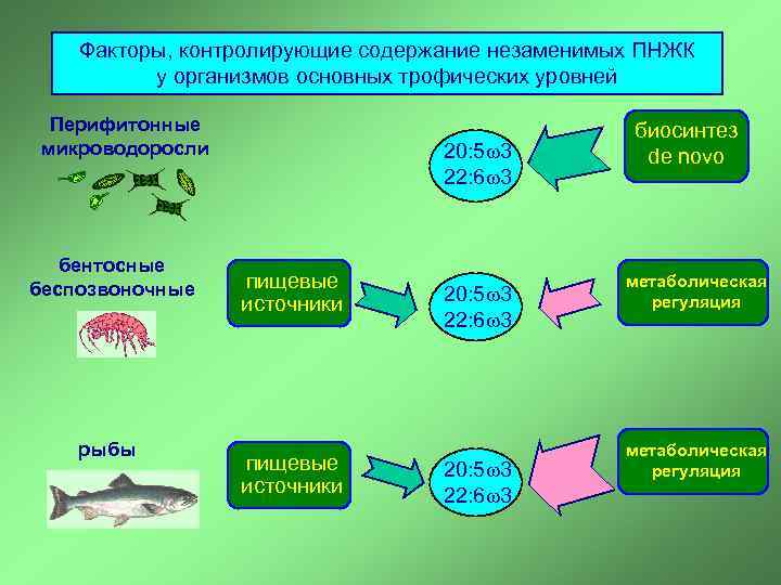 Фактор контроля