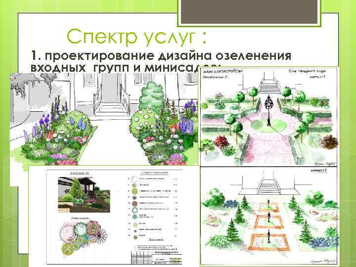 Спектр услуг : 1. проектирование дизайна озеленения входных групп и минисадов; 