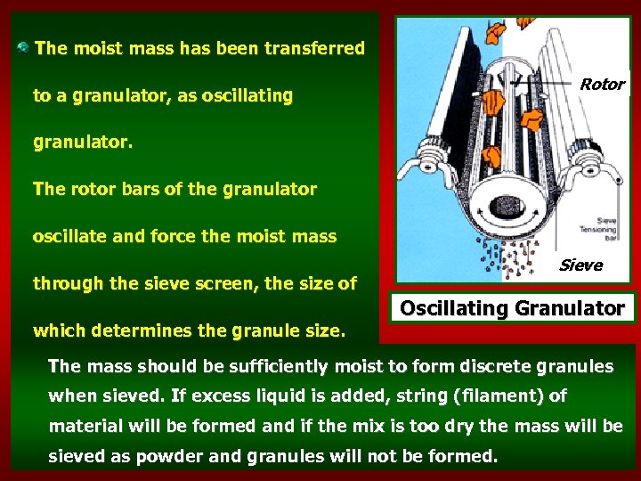 The moist mass has been transferred Rotor to a granulator, as oscillating granulator. The