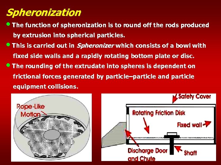 Spheronization • The function of spheronization is to round off the rods produced by