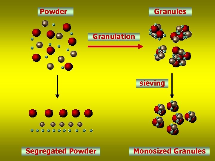 Powder Granules Granulation sieving Segregated Powder Monosized Granules 