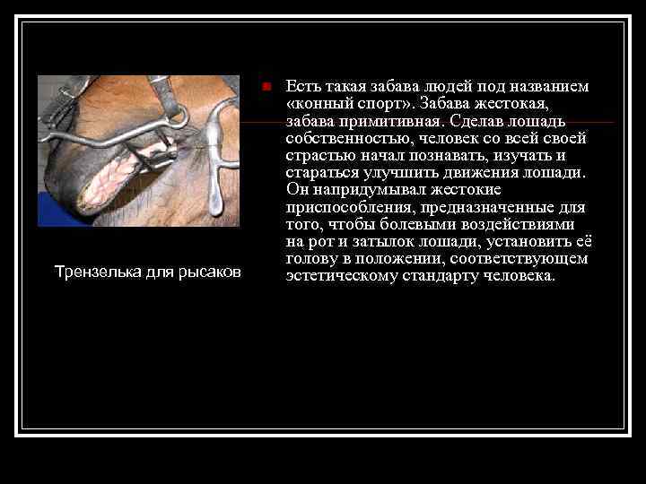 n Трензелька для рысаков Есть такая забава людей под названием «конный спорт» . Забава