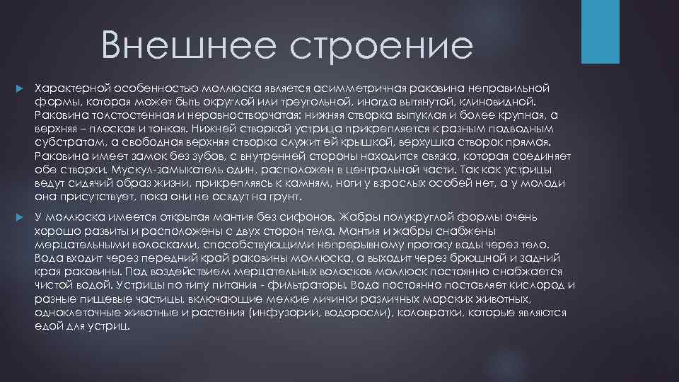 Внешнее строение Характерной особенностью моллюска является асимметричная раковина неправильной формы, которая может быть округлой