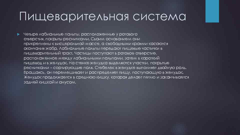 Пищеварительная система Четыре лабиальные пальпы, расположенные у ротового отверстия, покрыты ресничками. Своим основанием они