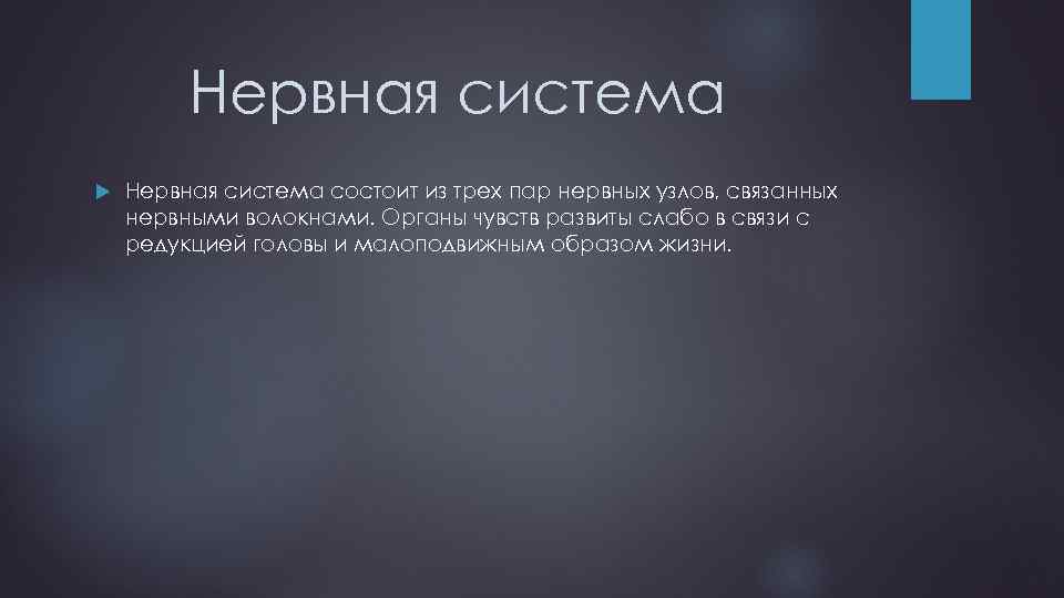 Нервная система состоит из трех пар нервных узлов, связанных нервными волокнами. Органы чувств развиты