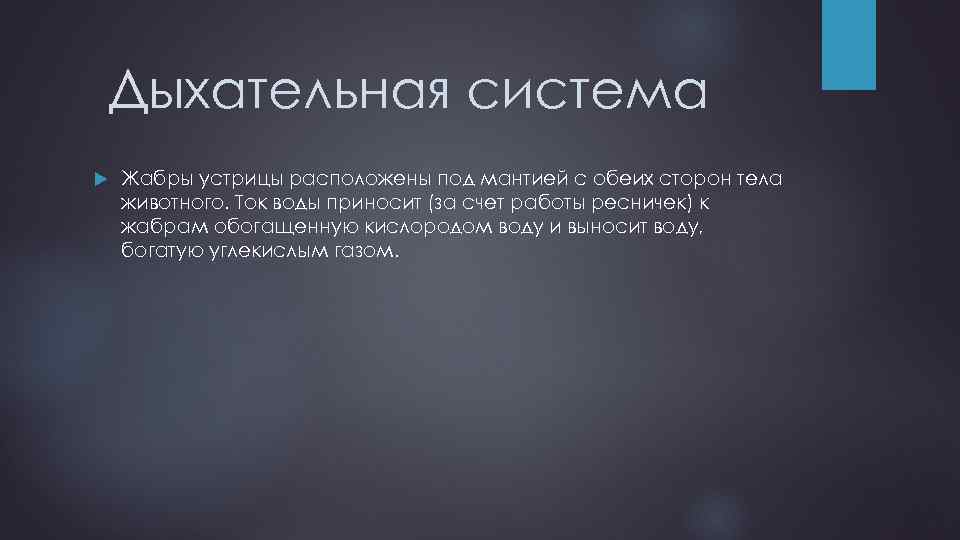Дыхательная система Жабры устрицы расположены под мантией с обеих сторон тела животного. Ток воды
