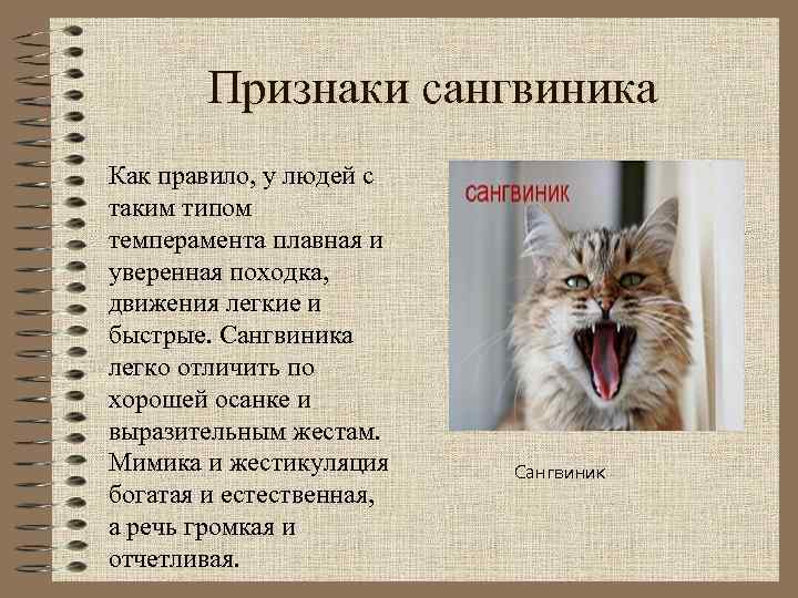 Признаки сангвиника Как правило, у людей с таким типом темперамента плавная и уверенная походка,