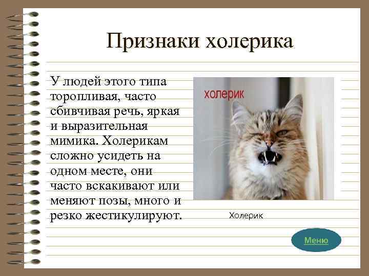 Признаки холерика У людей этого типа торопливая, часто сбивчивая речь, яркая и выразительная мимика.