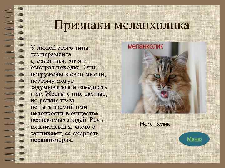 Признаки меланхолика У людей этого типа темперамента сдержанная, хотя и быстрая походка. Они погружены