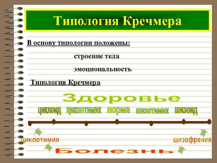 Типология Кречмера В основу типологии положены: строение тела эмоциональность Типология Кречмера 