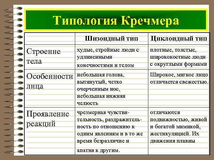 Типология Кречмера Шизоидный тип Циклоидный тип Строение тела худые, стройные люди с удлиненными конечностями