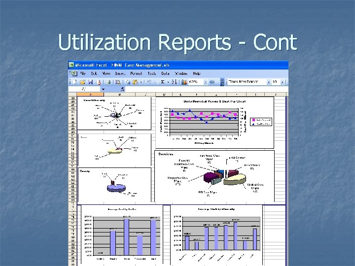 Utilization Reports - Cont 