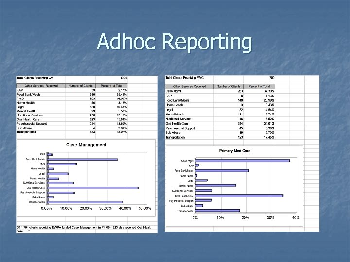 Adhoc Reporting 