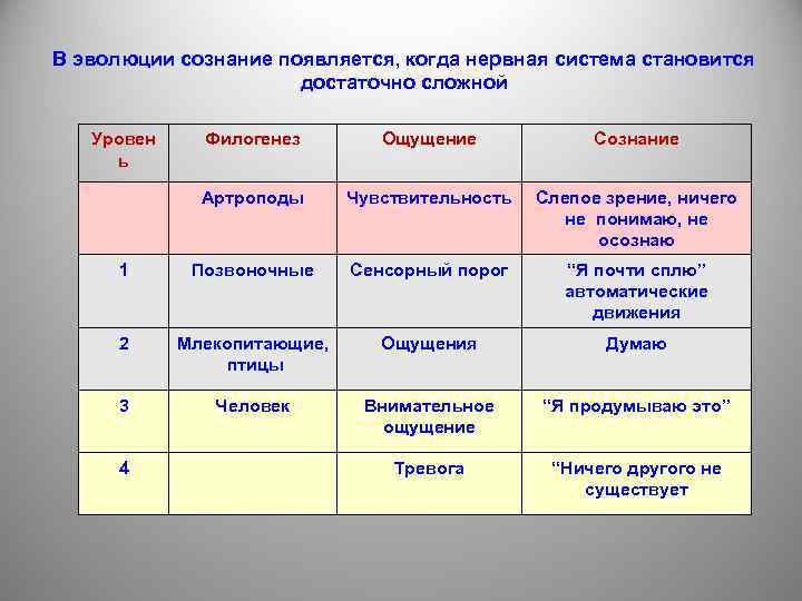 В эволюции сознание появляется, когда нервная система становится достаточно сложной Уровен ь Филогенез Ощущение